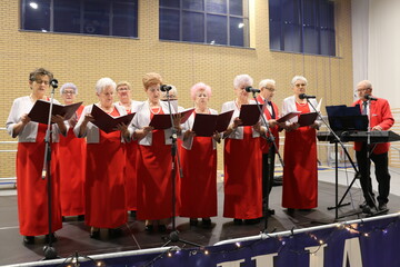 Zespół Śpiewaczy Pod Klonem